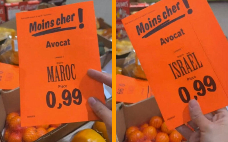 Lidl Store Accused of Mislabeling Israeli Avocados as Moroccan Amid Gaza Conflict