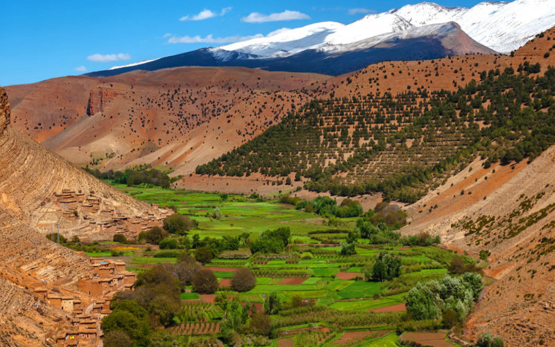Magnitude 5.1 Earthquake Strikes Morocco's Azilal Province, No Casualties Reported
