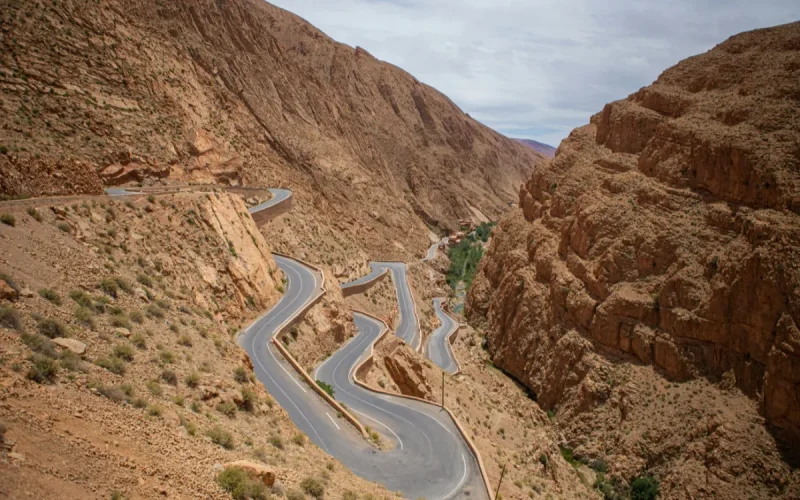 A major discovery in Morocco redefines the history of marine life
