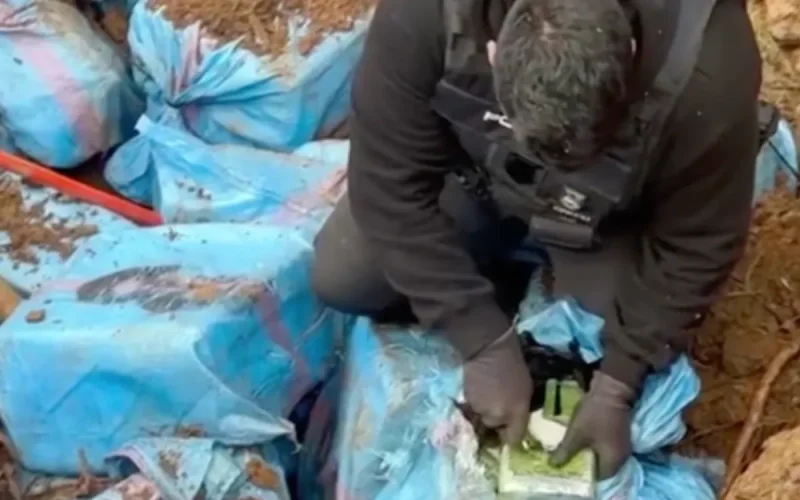 Marbella: Three Moroccans arrested after a shootout and the seizure of a ton of cocaine