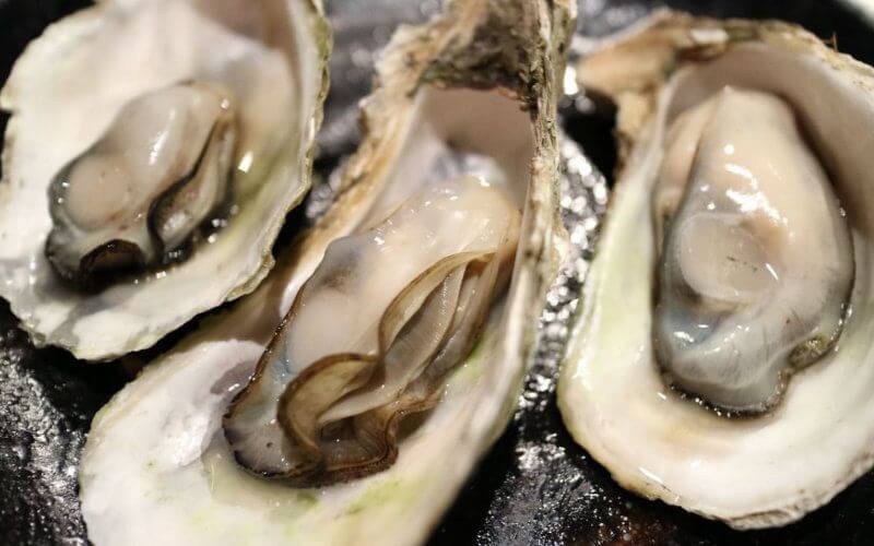 Marine Biotoxins Found in Moroccan Shellfish: Authorities Issue Ramadan Warning