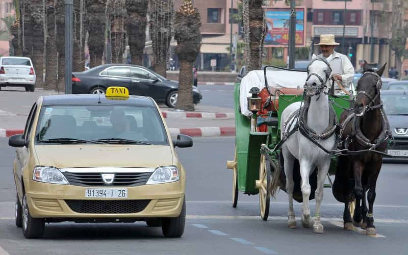Marrakech Cracks Down on Taxi Fare Fraud, Suspends 46 Licenses