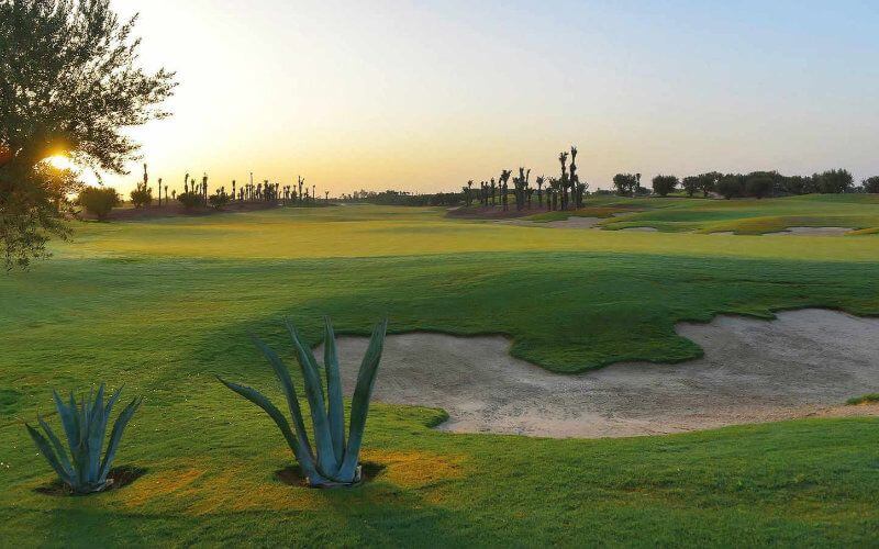 Marrakech Hosts Global Golf Tourism Summit, Aims to Boost Visitor Numbers
