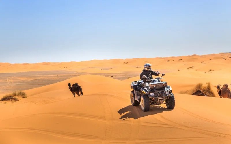 Marrakech and Merzouga are full for New Year's: bookings reach record levels