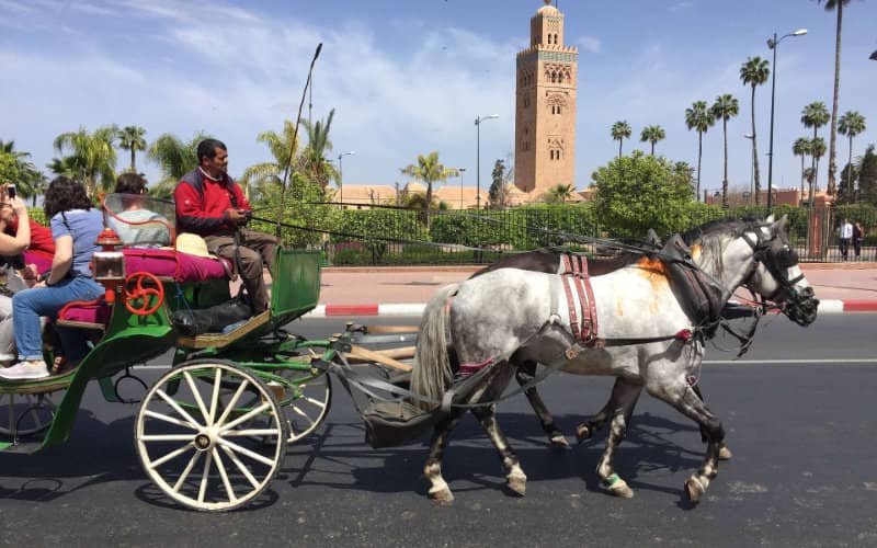 Marrakech Nominated for World's Best Destination 2020 Despite Pandemic
