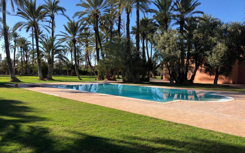 Marrakech Ranks Among Top 3 Summer Destinations for French Travelers, Survey Finds