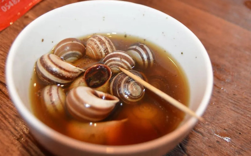 Marrakech Snail Vendors Face Crisis as Traditional Trade Struggles