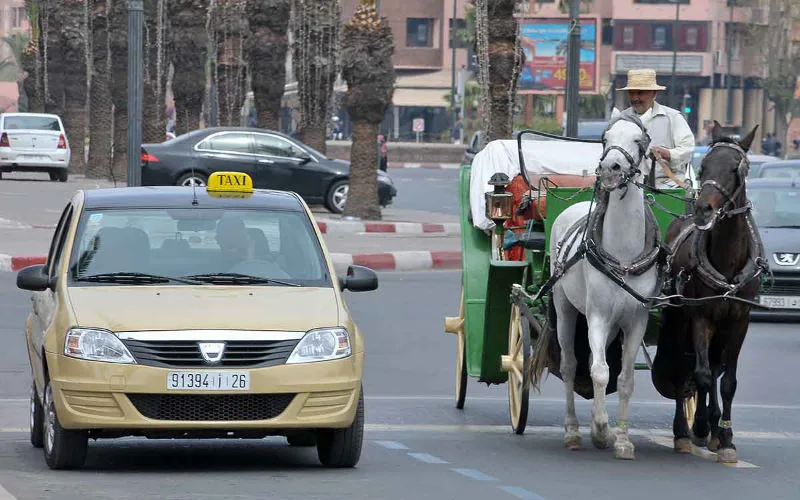 Marrakech Taxi Chaos: Locals Stranded as Drivers Favor Foreign Tourists