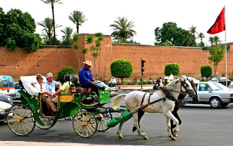 Marrakech's Iconic Jemaa El-Fna Square to Remove Horse-Drawn Carriages, Sparking Controversy