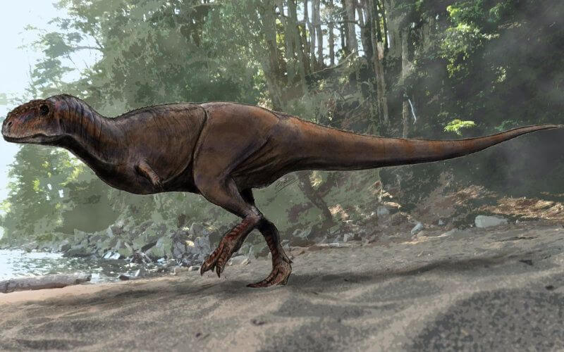 Massive Dinosaur Fossils Unearthed in Morocco's Kem Kem Region