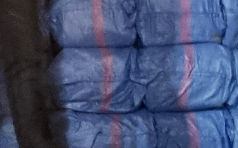 Massive Drug Bust in Morocco: 11.5 Tons of Cannabis Seized, 6 Suspects Arrested