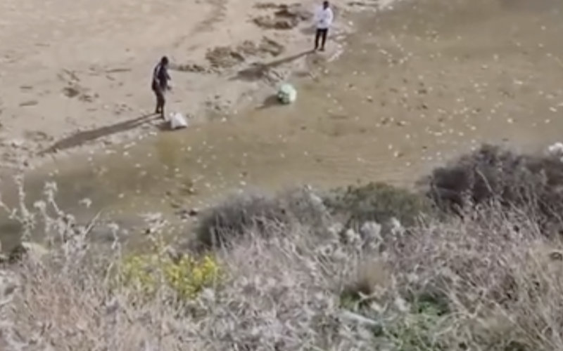 Massive Fish Die-Off in Coastal River Near Tangier Sparks Environmental Concerns