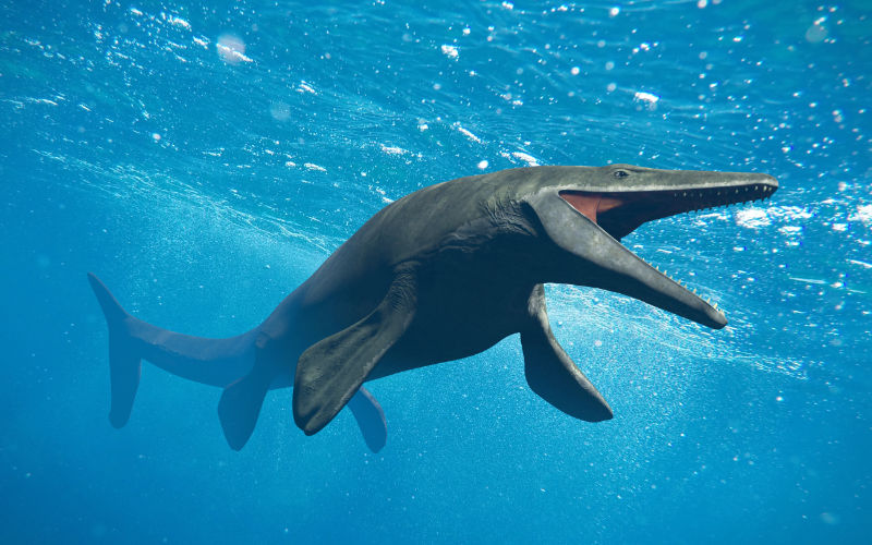 Massive Prehistoric Sea Monster Discovered in Morocco and Japan