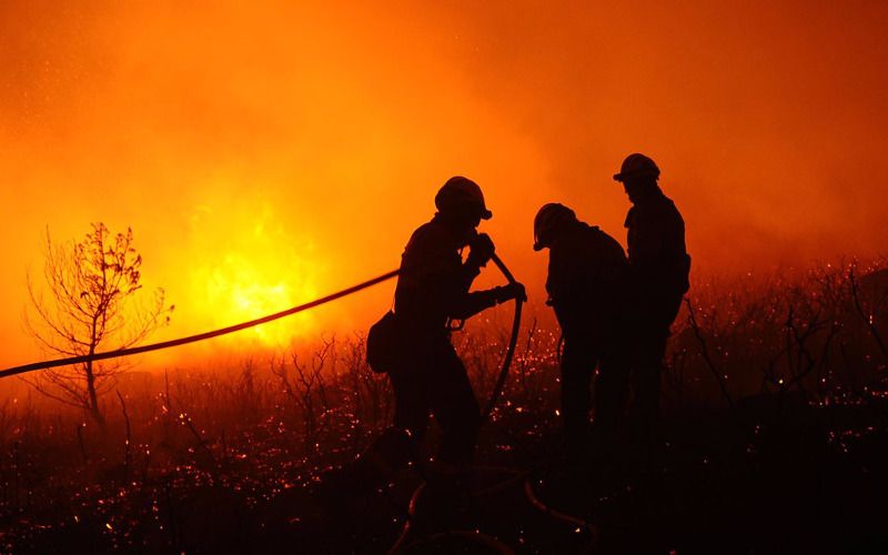 Massive Wildfire Destroys 65 Hectares in Morocco's Chefchaouen Forest