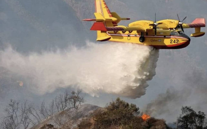 Massive Wildfire Engulfs 100 Hectares in Morocco's Tetouan Province