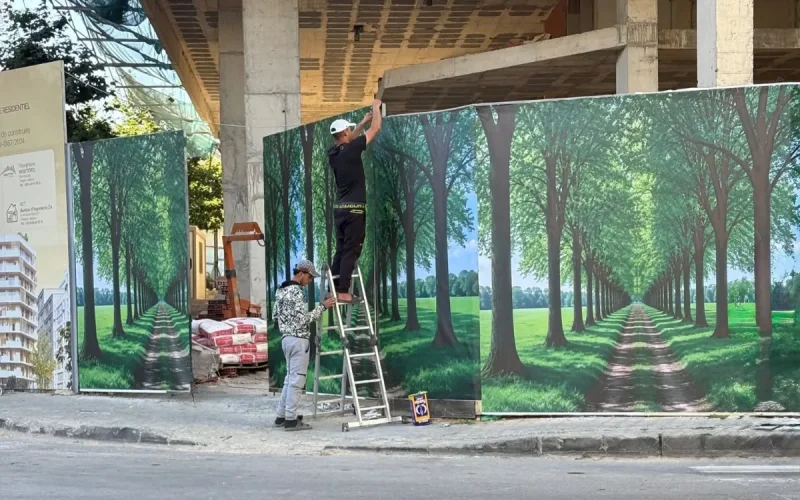 Mohammed VI Tangier visit construction sites fake forests camouflage
