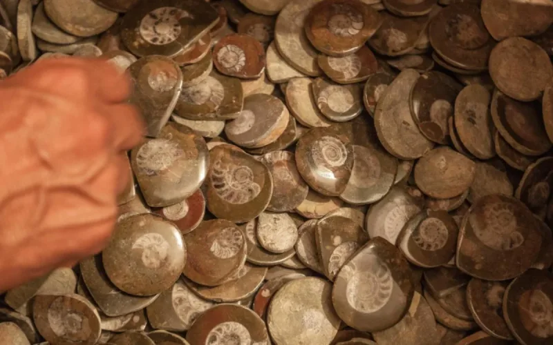Moroccan Archaeological Treasure Seized in Sète