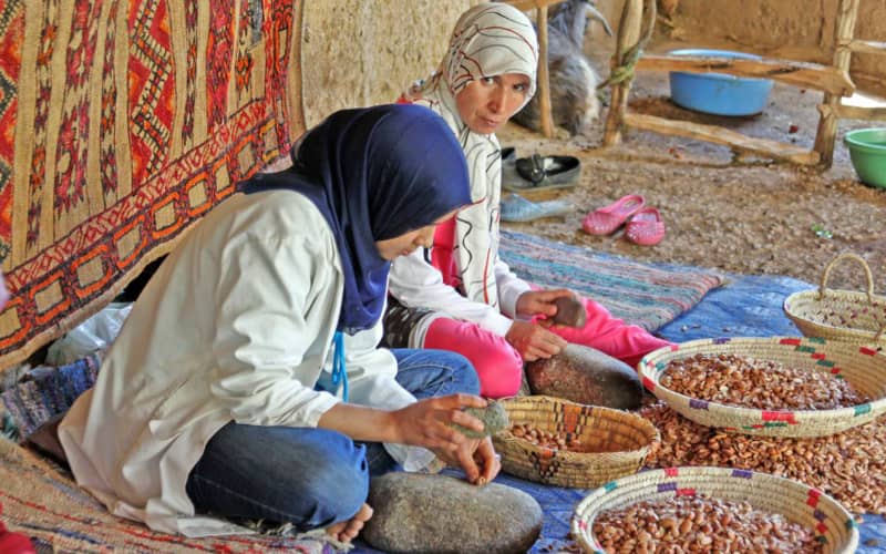 Moroccan Argan Oil Industry Faces Growing Global Competition