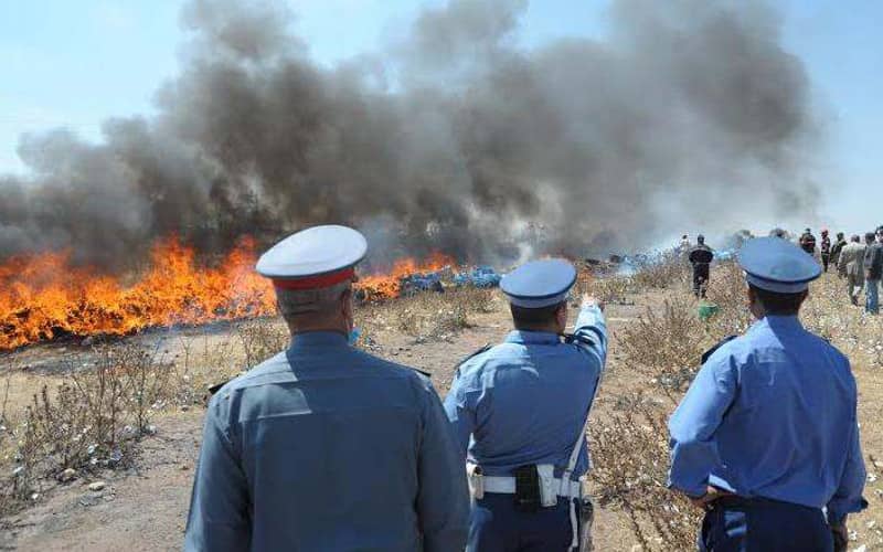 Moroccan Authorities Incinerate 7 Tons of Cannabis and Other Illicit Substances in Ouarzazate