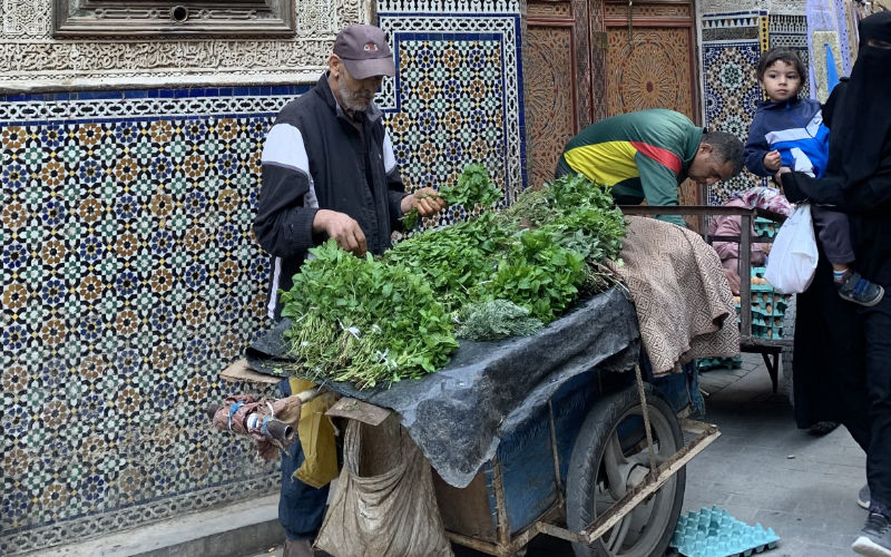 Moroccan Authorities Struggle to Curb Persistent Street Vending
