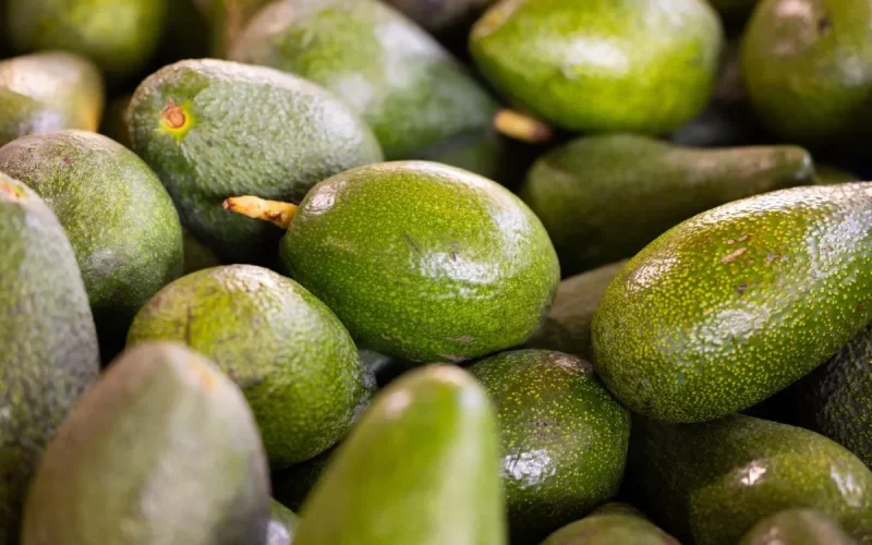 Moroccan avocado producers block exports