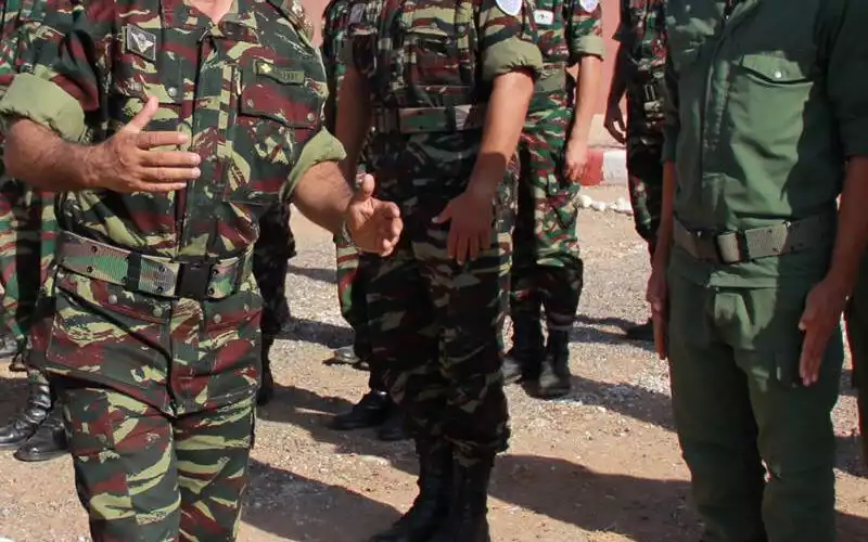 Moroccan Border Guards Sentenced for Aiding Cannabis Smuggling Operations