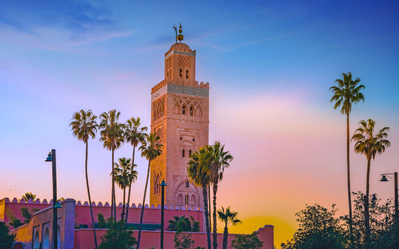 Moroccan Cities Face Backlash Over Palm Tree Planting, Environmental Groups Urge Native Shade Trees