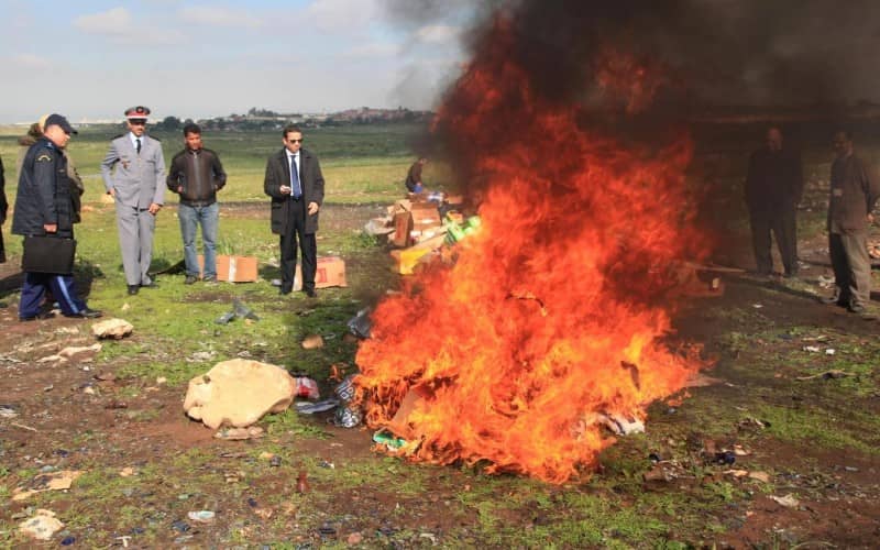 Moroccan Customs Burn 14 Tons of Drugs in Massive Dakhla Seizure