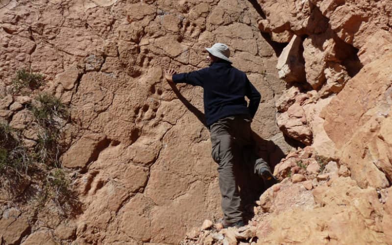Moroccan Dinosaur Footprints at Risk as Quarries Threaten Ancient Site