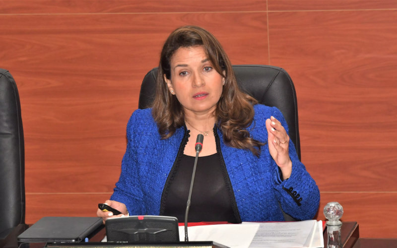 Moroccan Energy Minister Denies Link to Australian Billionaire After Photo Controversy