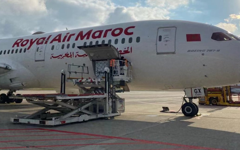 Moroccan Expats in North America Protest Royal Air Maroc's Soaring Ticket Prices
