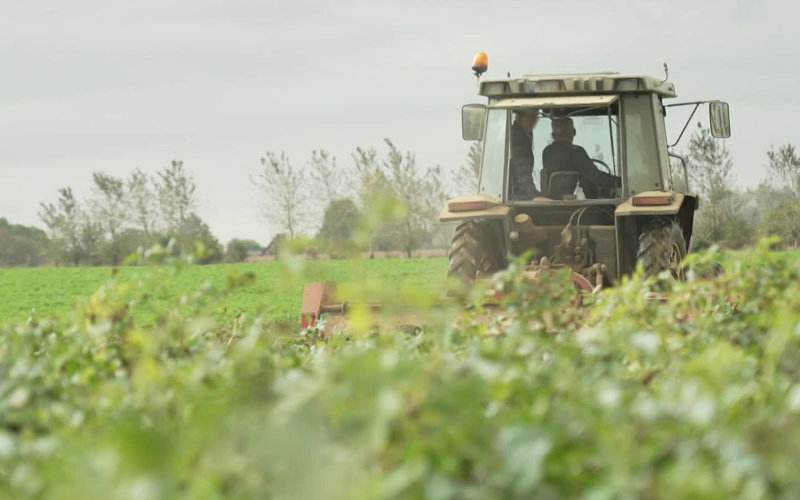 Moroccan Family Arrested for Exploiting Agricultural Workers in France