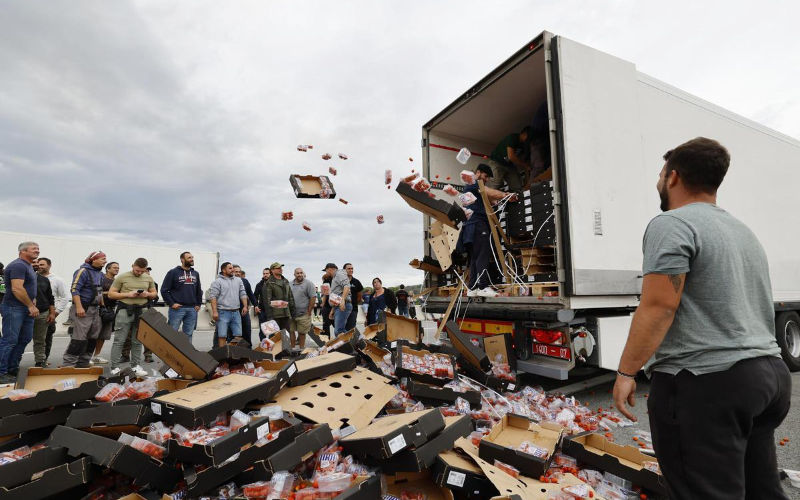 Moroccan Farmers Condemn Attacks on Produce Trucks by European Protesters