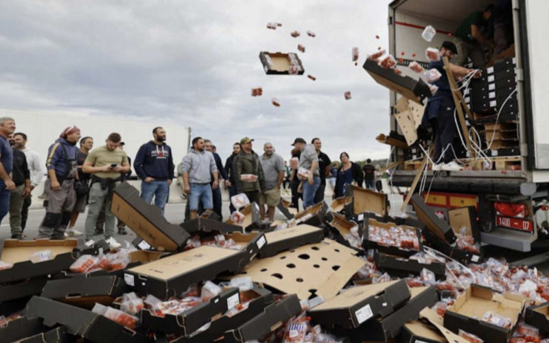 Moroccan Farmers Condemn Attacks on Tomato Shipments in France