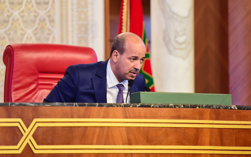 Moroccan flag at the Knesset: visit of Enaam Mayara in Israel this week