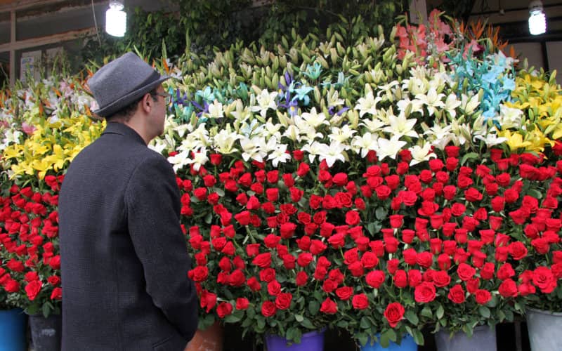 Moroccan Flower Industry Wilts Amid Pandemic Restrictions