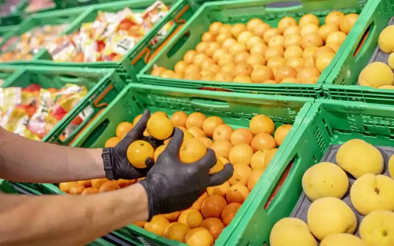 Moroccan Fruit Exports Surge 50%, Spain and France Top Buyers