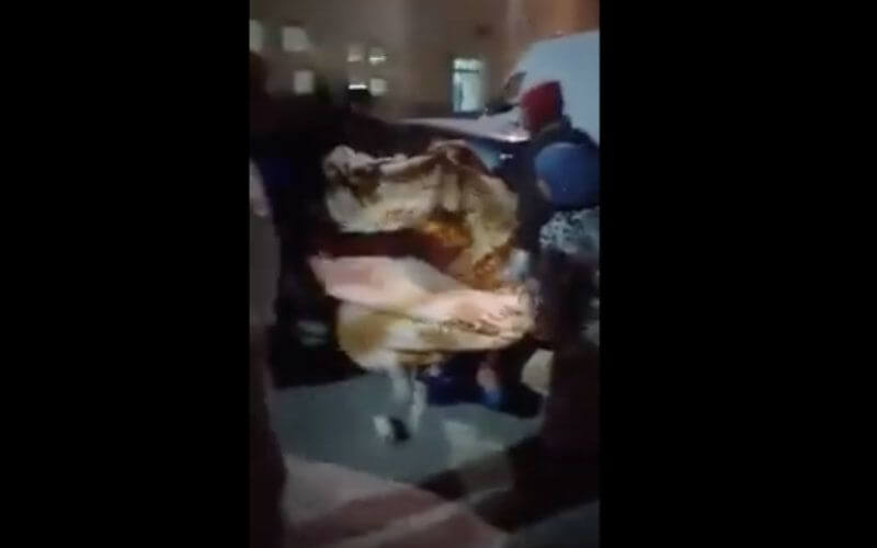 Moroccan Health Minister Suspends Doctor After Woman Gives Birth Outside Hospital