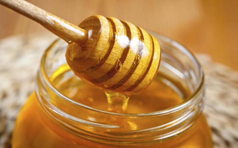 Moroccan Honey Production Threatened as Bee Colonies Collapse