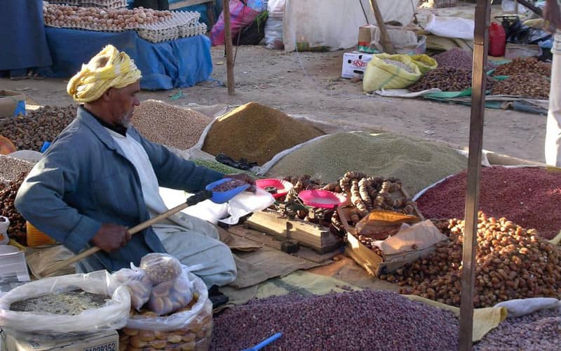 Moroccan Households Rely on Multiple Income Sources, Study Finds