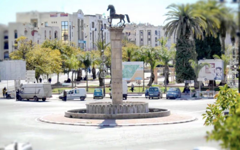 Moroccan Lawmaker and Doctor Implicated in Land Fraud Scheme Against Expat
