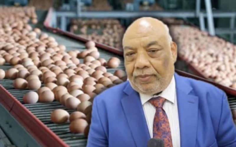 Moroccan Lawmaker's Egg Farm Hit by Major Theft, Worker Arrested