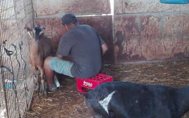Moroccan Man Arrested for Sexually Exploiting Migrant Farm Workers in Spain