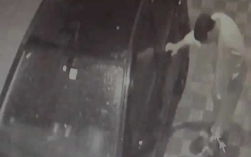 Moroccan Man Sentenced to Prison for Beating Cat to Death in Street