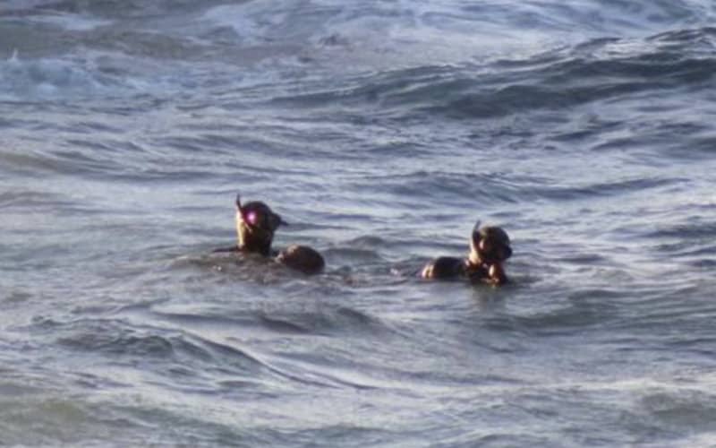 Moroccan Migrant's Death Near Ceuta Sparks Calls for Investigation