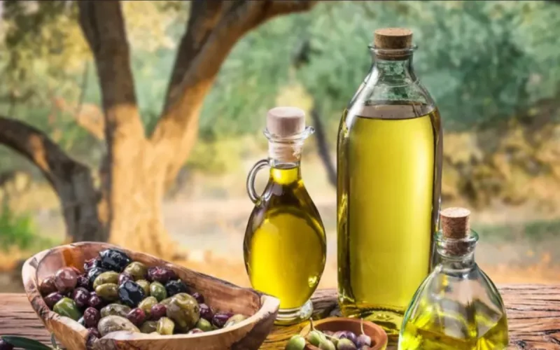 Moroccan Olive Oil World Competition Quality Prize 2026