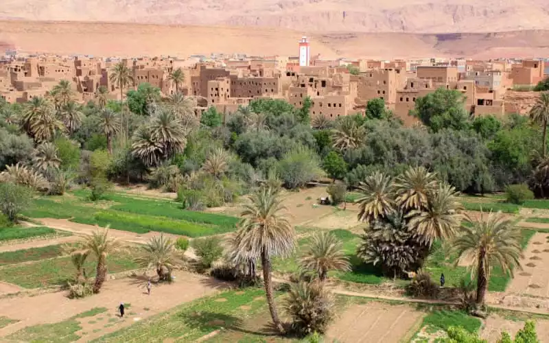 Moroccan Parliament Urges Protection of Vulnerable Oases Amid Summer Fire Threats
