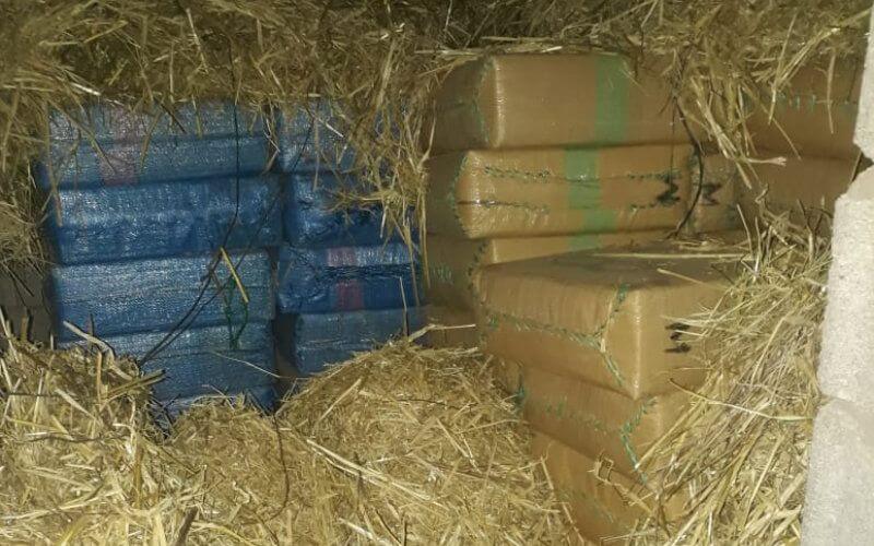 Moroccan Police Seize 589 kg of Cannabis in Major Drug Bust Near Agadir
