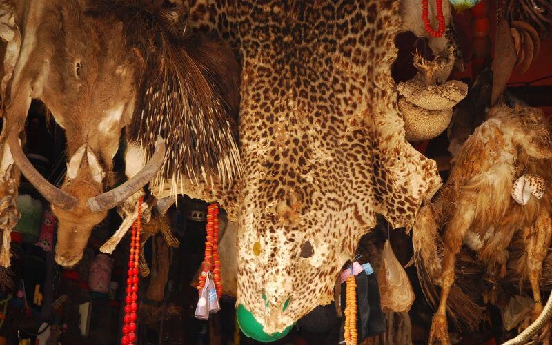 Moroccan Police Uncover Million-Dollar 'Jinn Summoning' Scam in Rabat