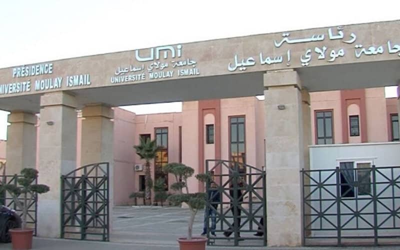 Moroccan Professor Faces Ban After Exposing University Master's Program Flaws